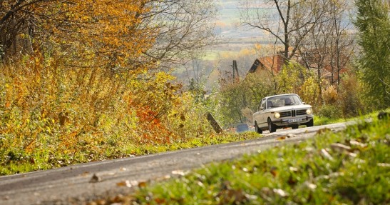 Rajd Żubrów 2013